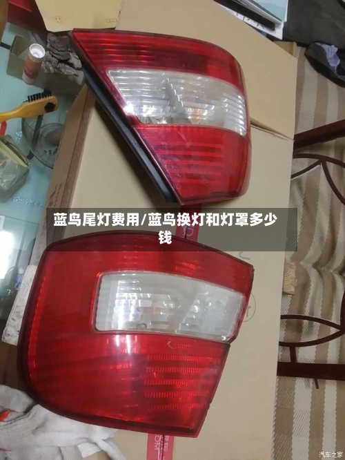 蓝鸟尾灯费用/蓝鸟换灯和灯罩多少钱