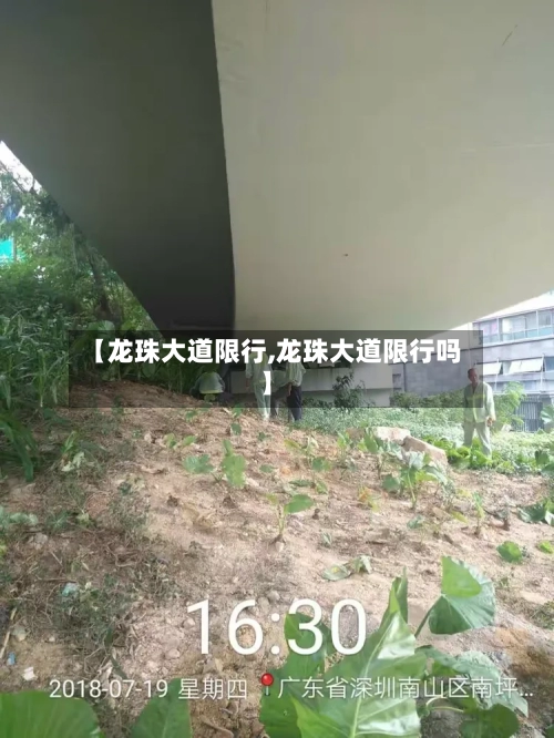 【龙珠大道限行,龙珠大道限行吗】
