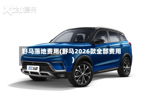 野马落地费用(野马2026款全部费用)