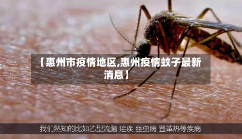 【惠州市疫情地区,惠州疫情蚊子最新消息】-第2张图片
