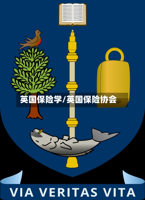 英国保险学/英国保险协会-第3张图片