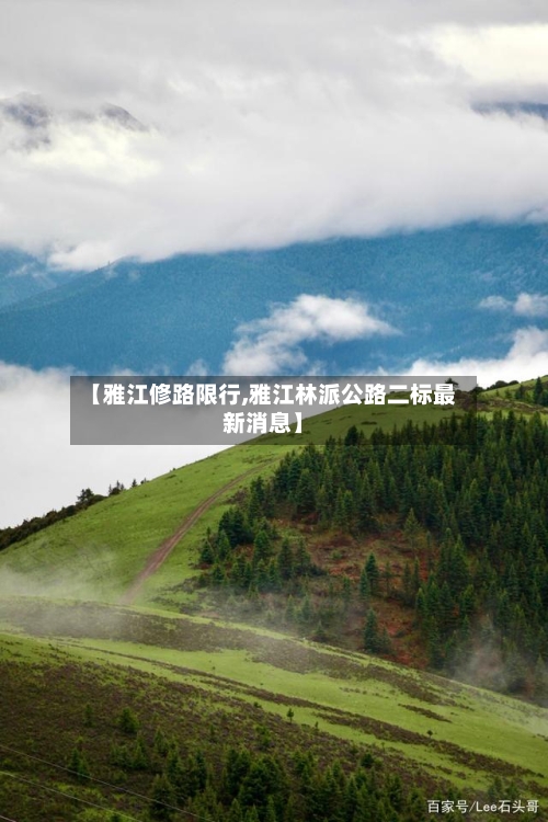 【雅江修路限行,雅江林派公路二标最新消息】-第2张图片