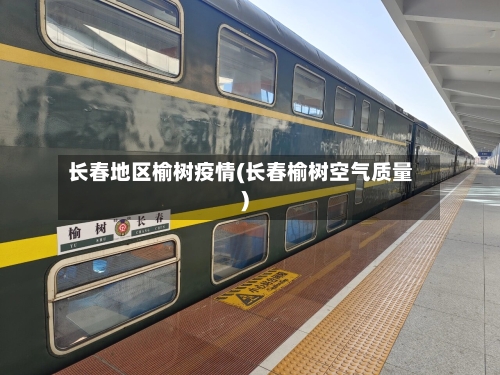 长春地区榆树疫情(长春榆树空气质量)