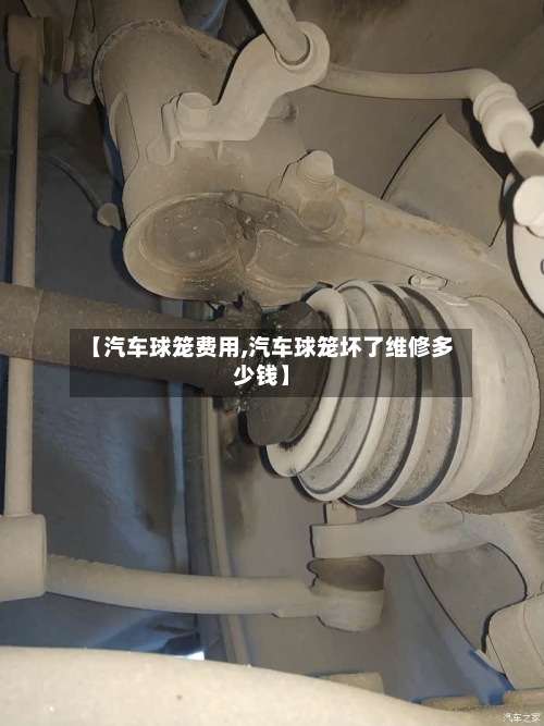 【汽车球笼费用,汽车球笼坏了维修多少钱】