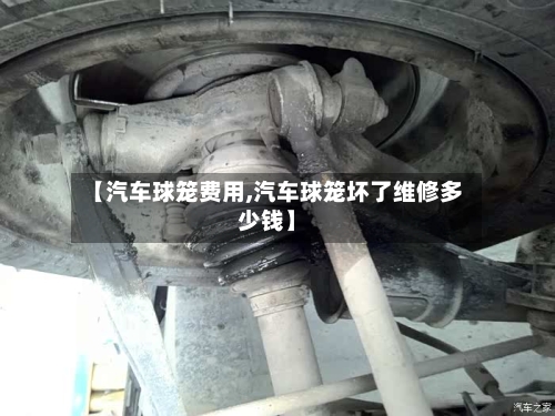 【汽车球笼费用,汽车球笼坏了维修多少钱】-第2张图片