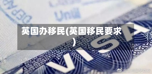 英国办移民(英国移民要求)