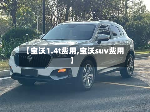 【宝沃1.4t费用,宝沃suv费用】-第3张图片