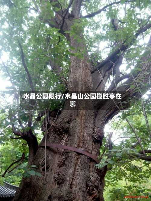 水晶公园限行/水晶山公园揽胜亭在哪-第2张图片