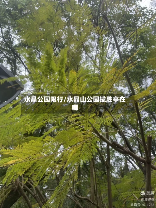 水晶公园限行/水晶山公园揽胜亭在哪-第3张图片