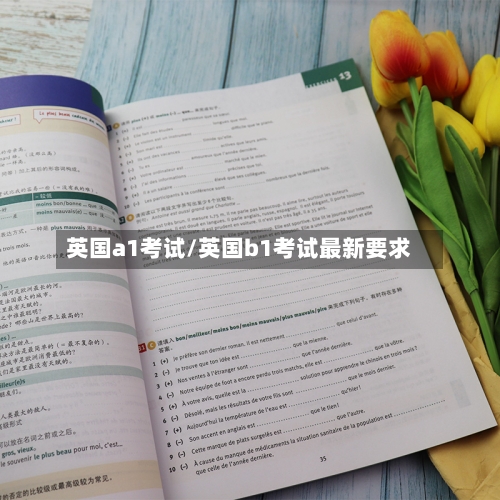 英国a1考试/英国b1考试最新要求-第3张图片