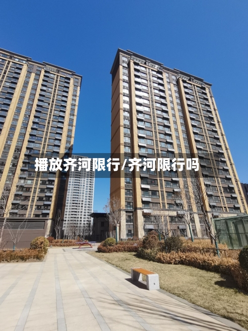 播放齐河限行/齐河限行吗-第2张图片