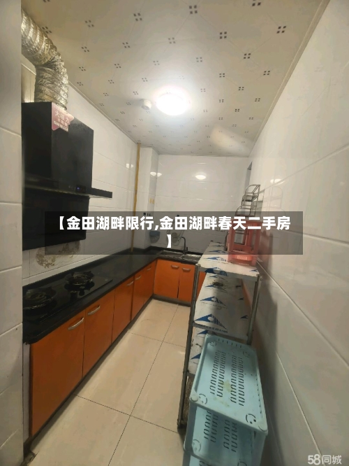 【金田湖畔限行,金田湖畔春天二手房】-第3张图片