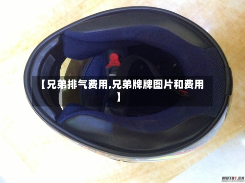 【兄弟排气费用,兄弟牌牌图片和费用】-第2张图片