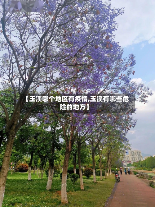 【玉溪哪个地区有疫情,玉溪有哪些危险的地方】