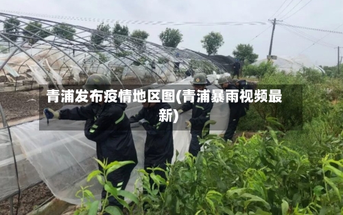 青浦发布疫情地区图(青浦暴雨视频最新)