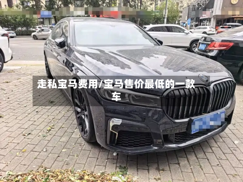 走私宝马费用/宝马售价最低的一款车
