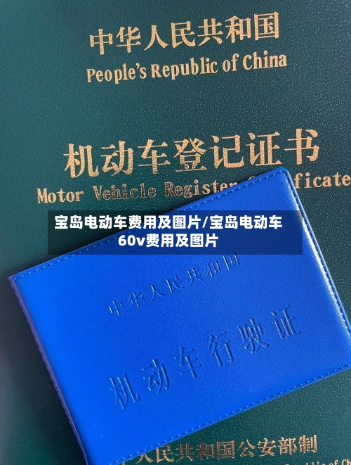 宝岛电动车费用及图片/宝岛电动车60v费用及图片