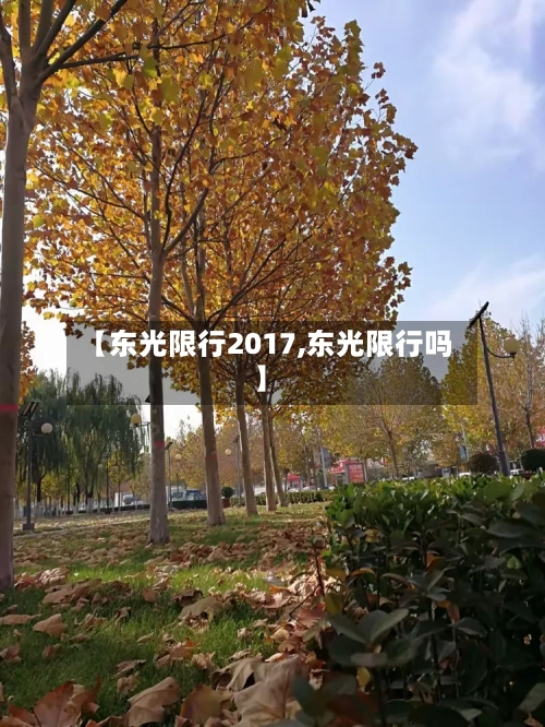 【东光限行2017,东光限行吗】-第3张图片