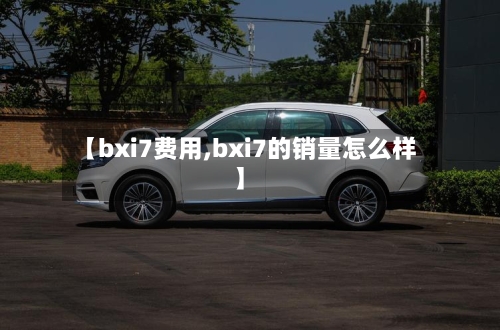 【bxi7费用,bxi7的销量怎么样】