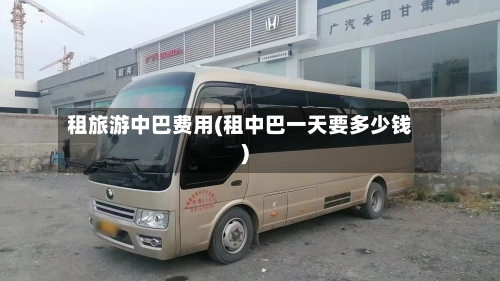 租旅游中巴费用(租中巴一天要多少钱)-第3张图片