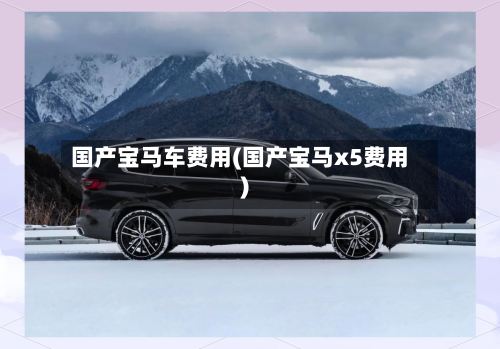 国产宝马车费用(国产宝马x5费用)