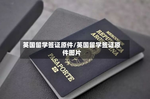 英国留学签证原件/英国留学签证原件图片-第2张图片