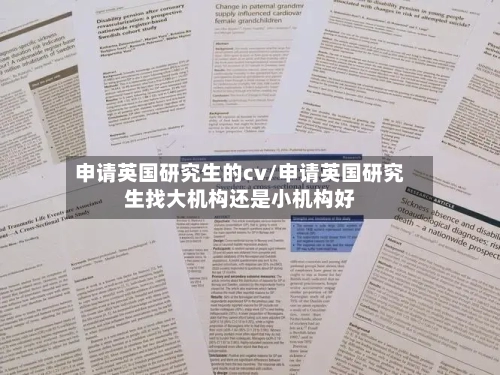 申请英国研究生的cv/申请英国研究生找大机构还是小机构好-第2张图片