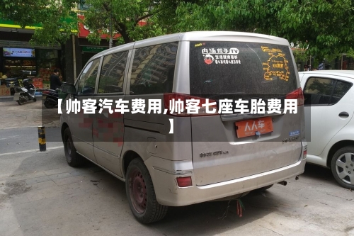 【帅客汽车费用,帅客七座车胎费用】-第2张图片