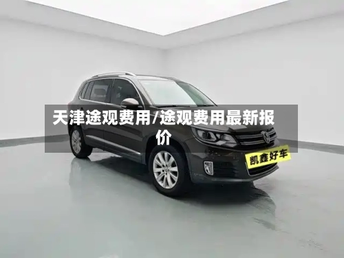 天津途观费用/途观费用最新报价