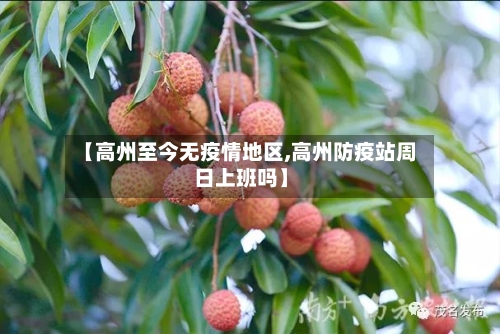 【高州至今无疫情地区,高州防疫站周日上班吗】