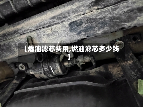 【燃油滤芯费用,燃油滤芯多少钱】-第2张图片