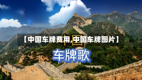 【中国车牌费用,中国车牌图片】