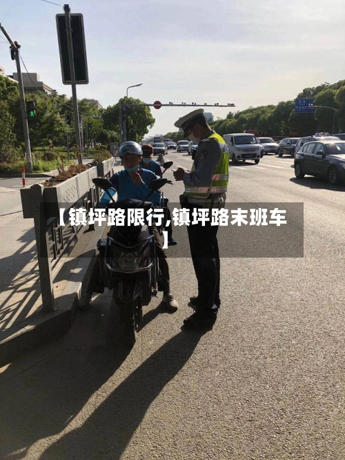 【镇坪路限行,镇坪路末班车】-第3张图片