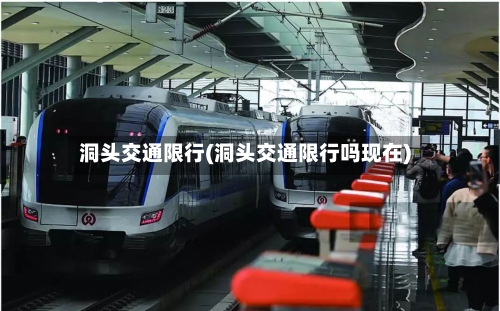 洞头交通限行(洞头交通限行吗现在)