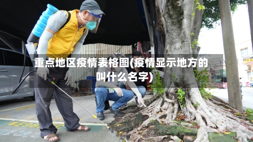 重点地区疫情表格图(疫情显示地方的叫什么名字)-第2张图片