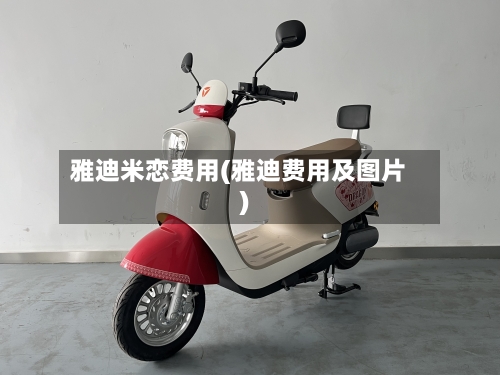 雅迪米恋费用(雅迪费用及图片)