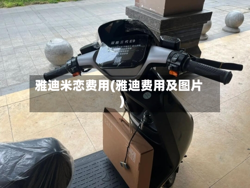 雅迪米恋费用(雅迪费用及图片)-第2张图片