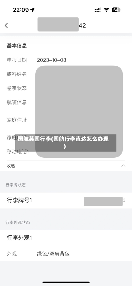 国航英国行李(国航行李直达怎么办理)