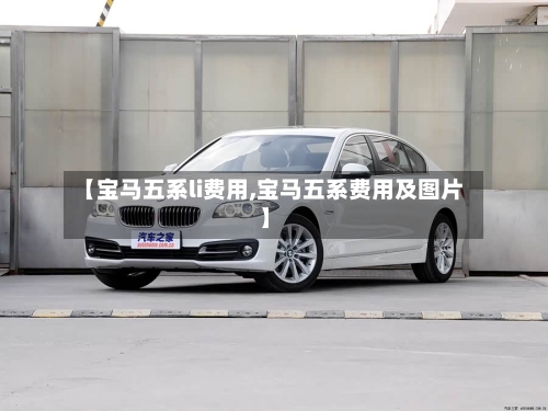 【宝马五系li费用,宝马五系费用及图片】