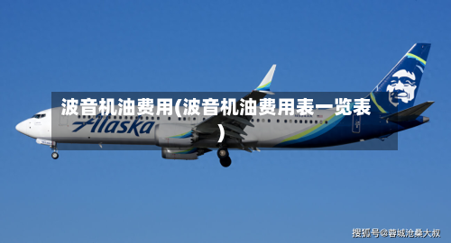 波音机油费用(波音机油费用表一览表)-第3张图片