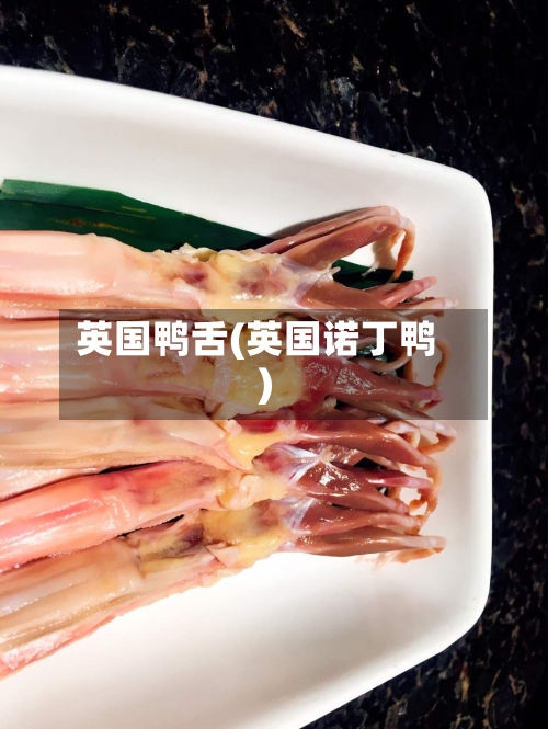 英国鸭舌(英国诺丁鸭)