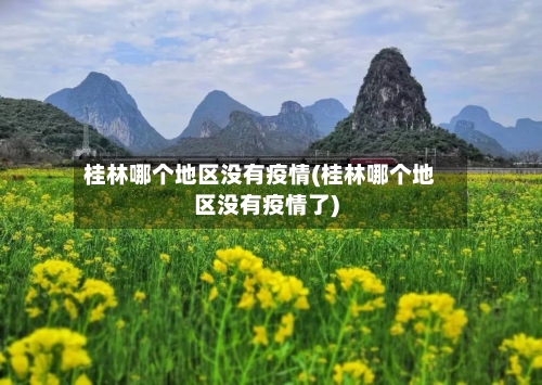 桂林哪个地区没有疫情(桂林哪个地区没有疫情了)