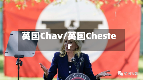 英国Chav/英国Chester-第2张图片