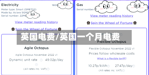 英国电费/英国一个月电费