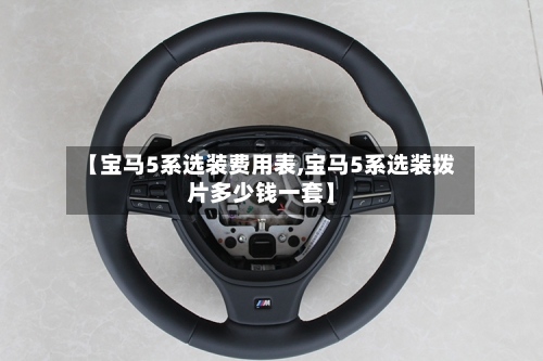 【宝马5系选装费用表,宝马5系选装拨片多少钱一套】-第3张图片