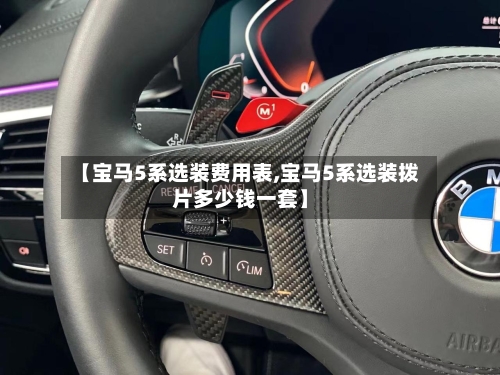 【宝马5系选装费用表,宝马5系选装拨片多少钱一套】-第2张图片