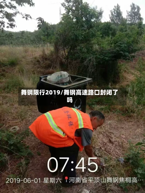 舞钢限行2019/舞钢高速路口封闭了吗