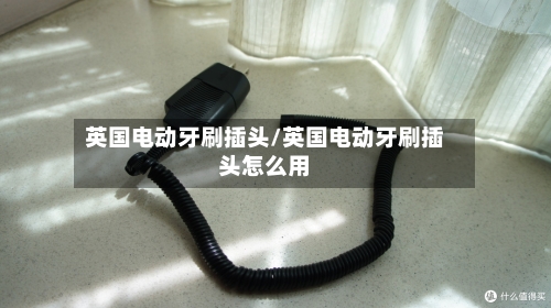 英国电动牙刷插头/英国电动牙刷插头怎么用-第2张图片