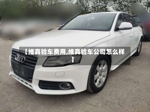 【维真验车费用,维真验车公司怎么样】
