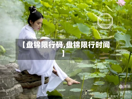 【盘锦限行码,盘锦限行时间】-第2张图片